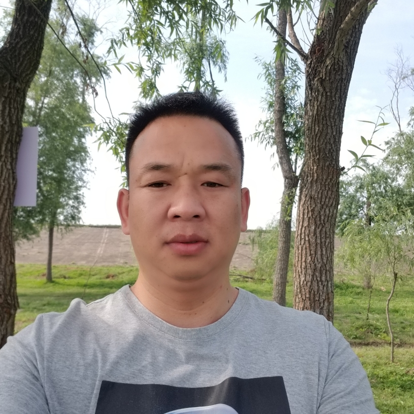 蝶衣翩飞的照片