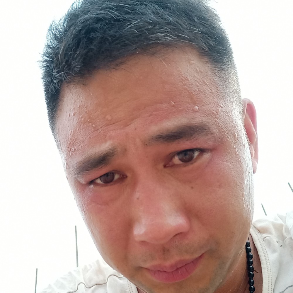 优雅日记的照片