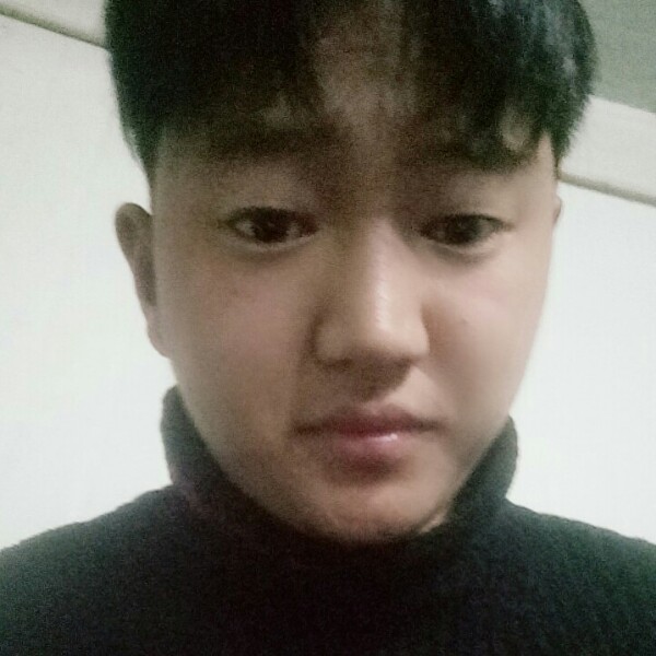 随机所欲的照片