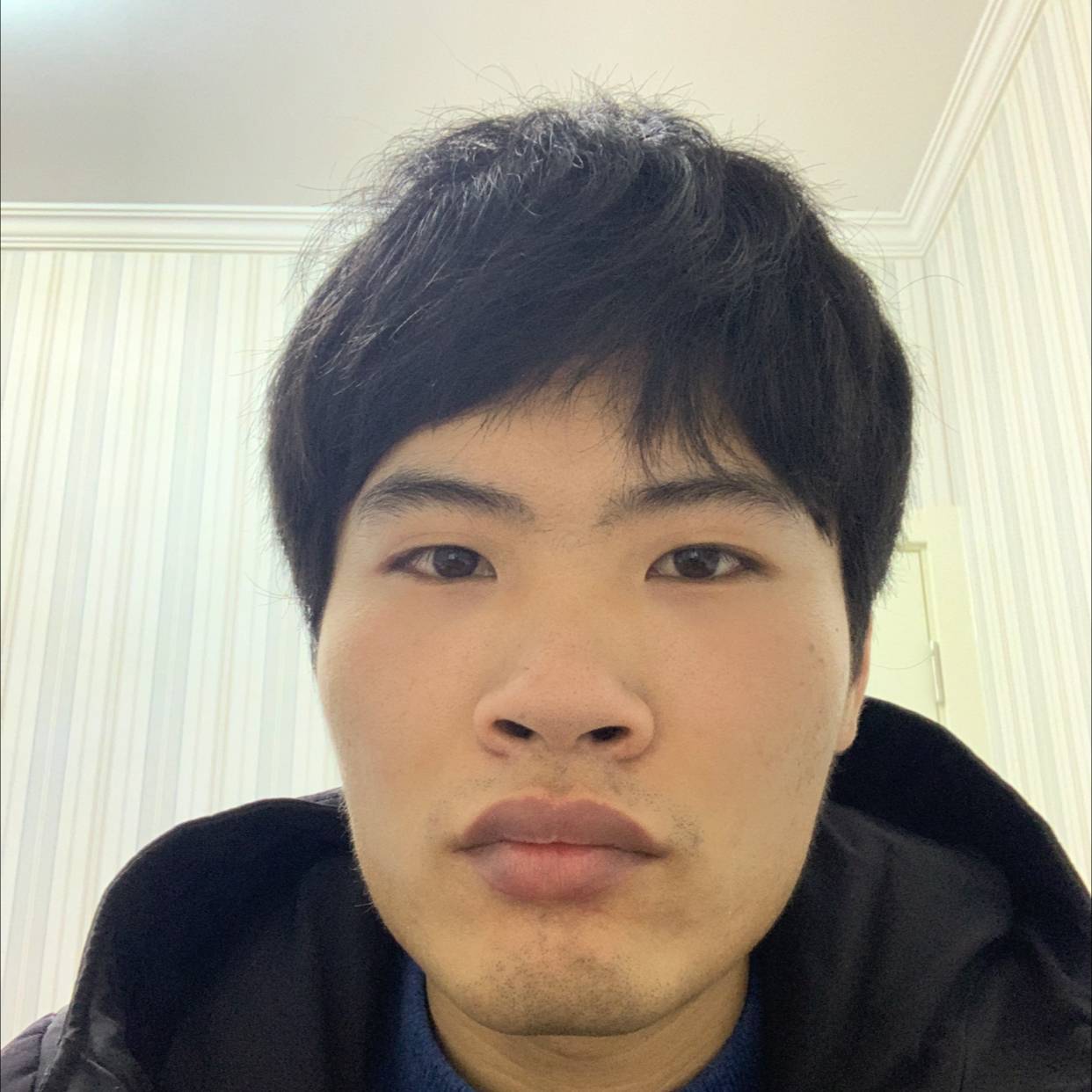 奔向夕阳的照片