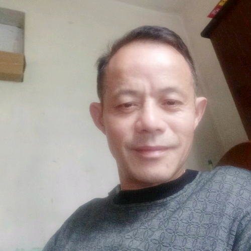 东南孤雁的照片