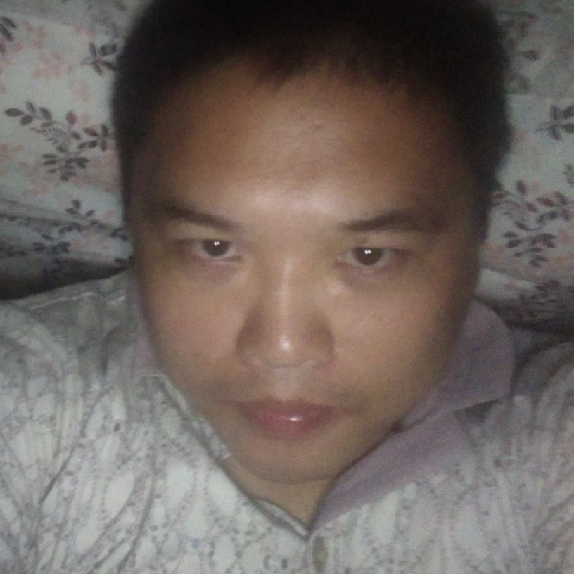 傻得飞的照片