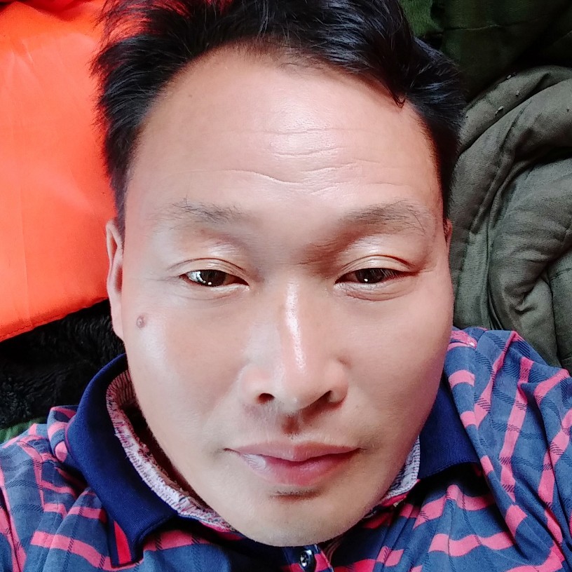 单纯漫步金毛的照片