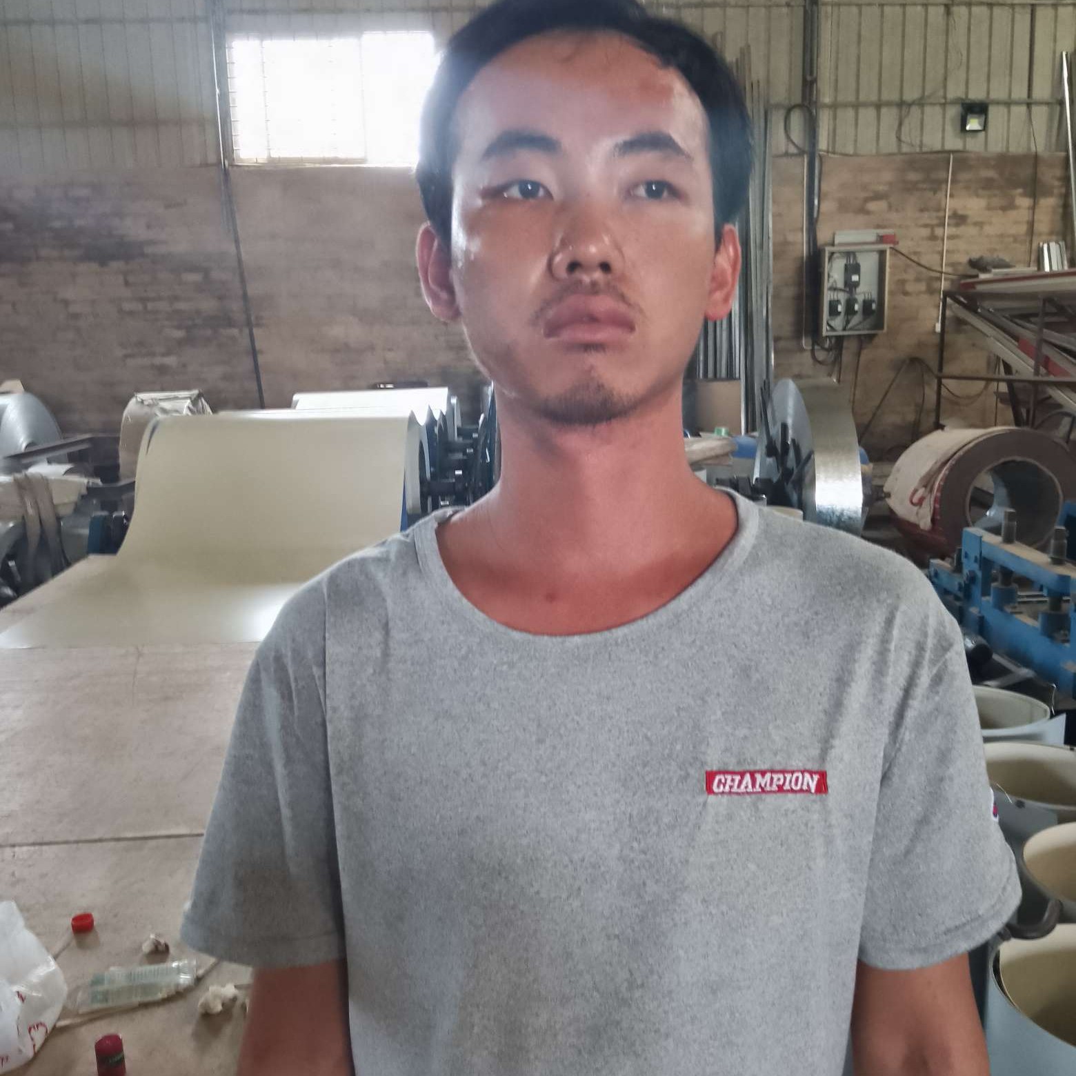 板栗那稳重的照片