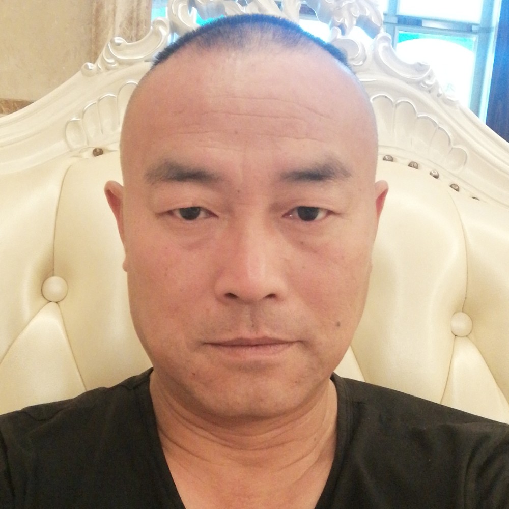 俏皮浅吻金毛的照片