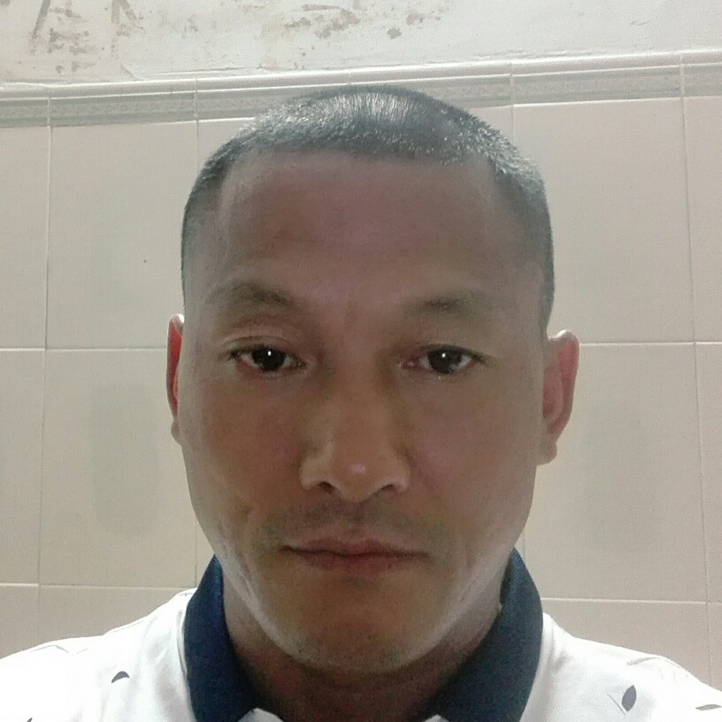 真爱的雄鹰的照片