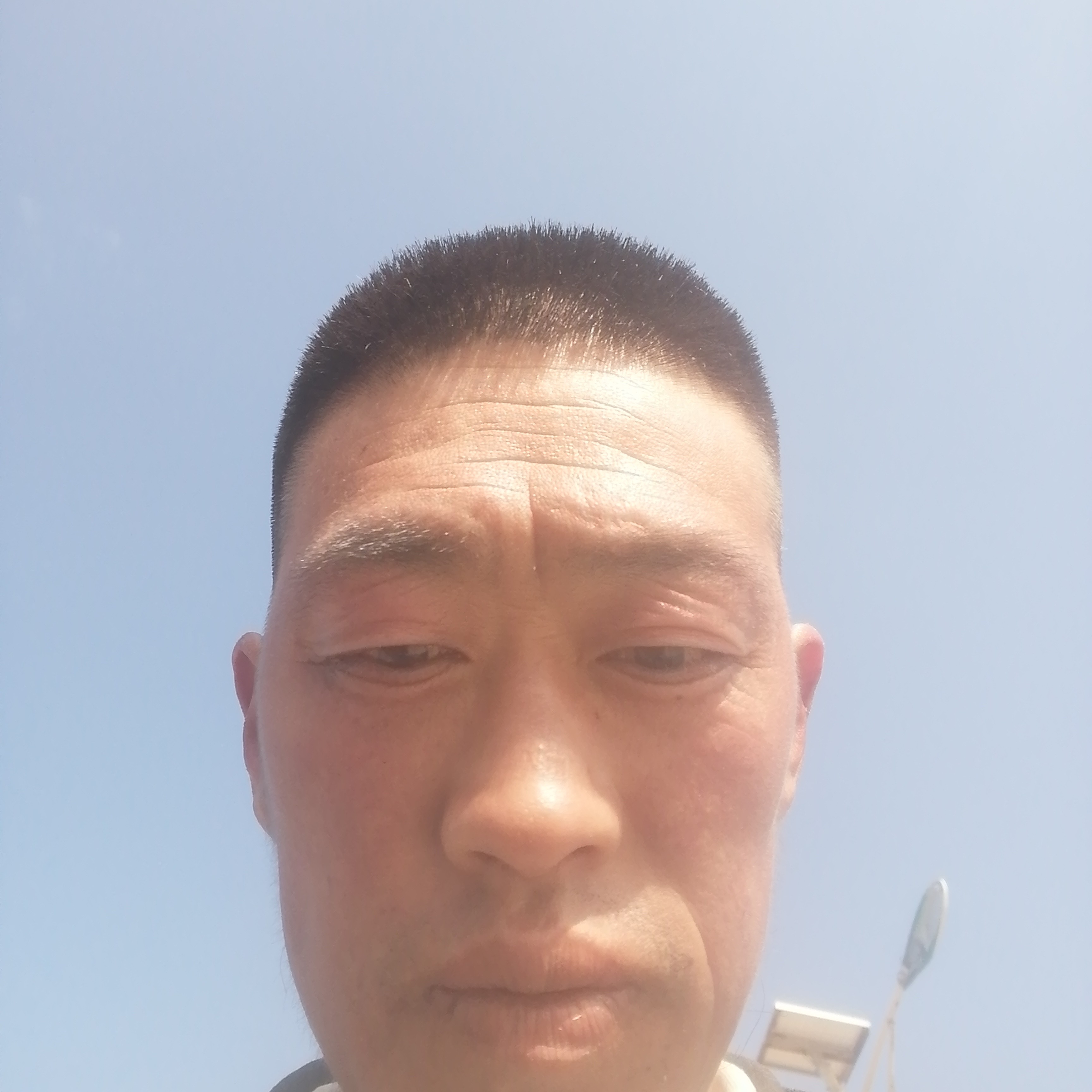 可爱有小懒猪的照片