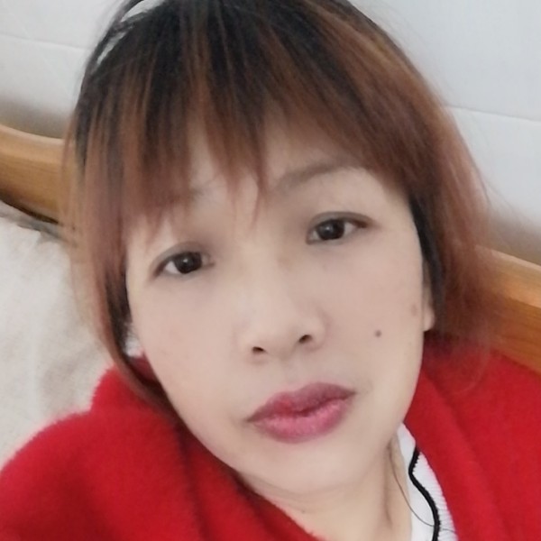 小海豚爱自然的照片