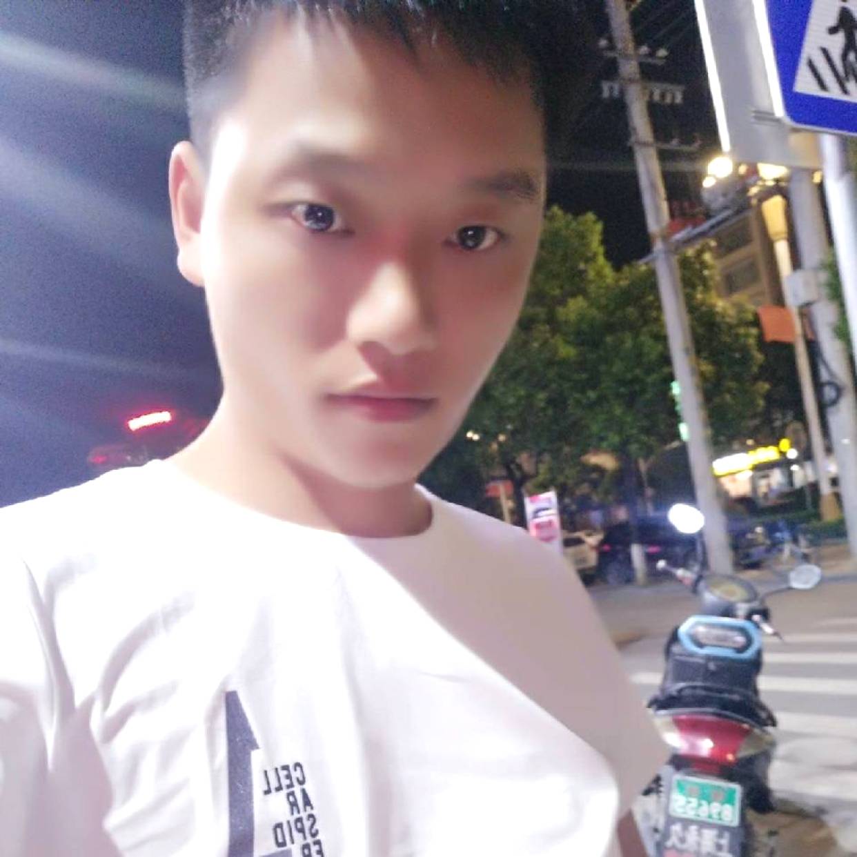 西牛回首沉静的照片
