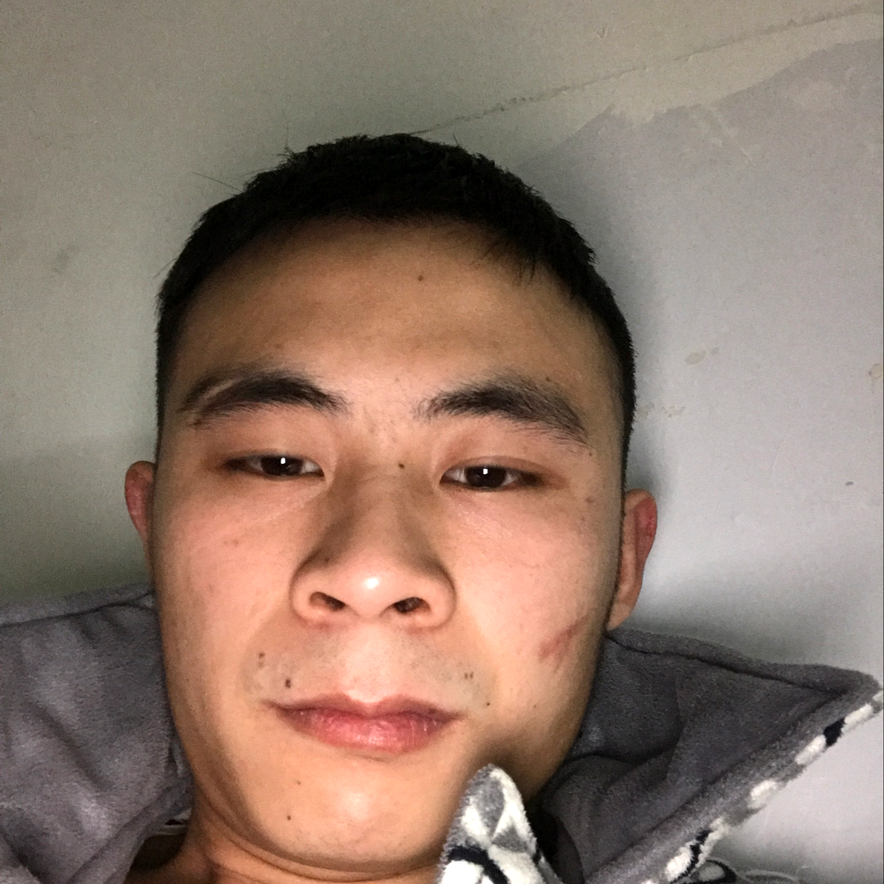 狂野演变冰淇淋的照片
