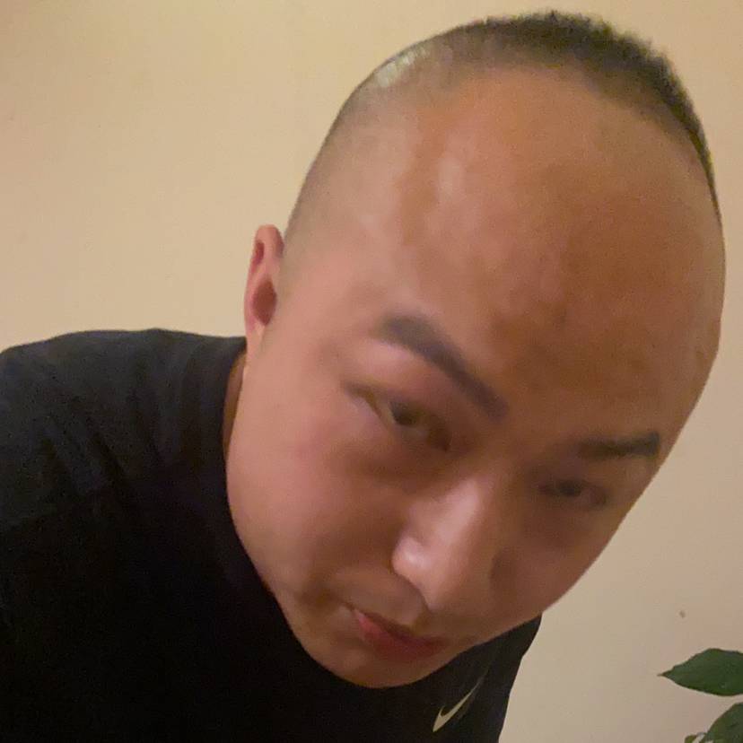 娇气漫步黑猫的照片