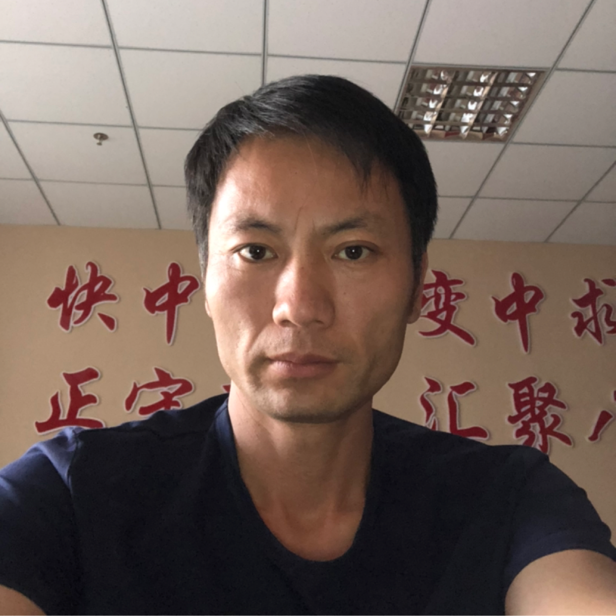 刺猬凝眸深情的照片