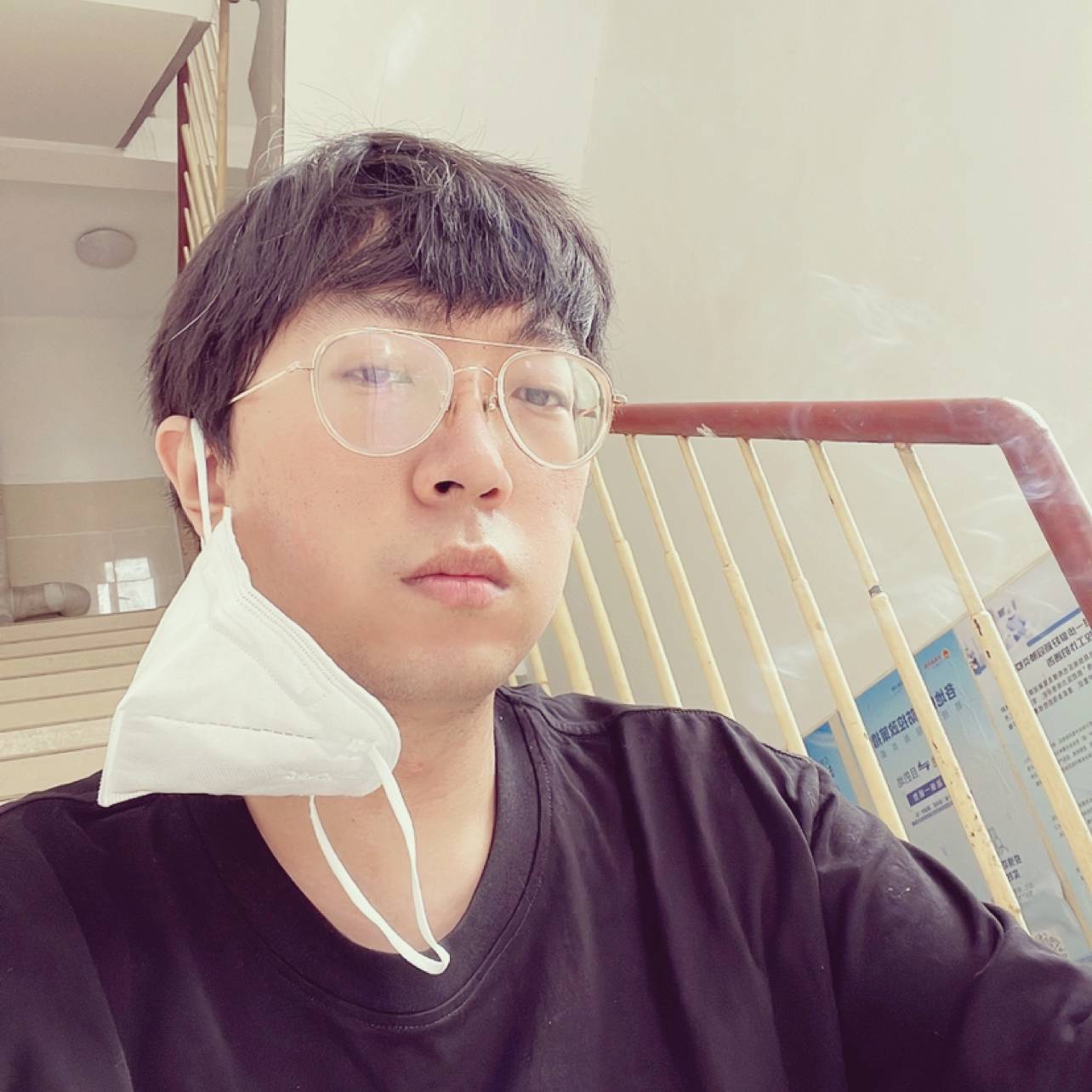 月下刺猹的照片