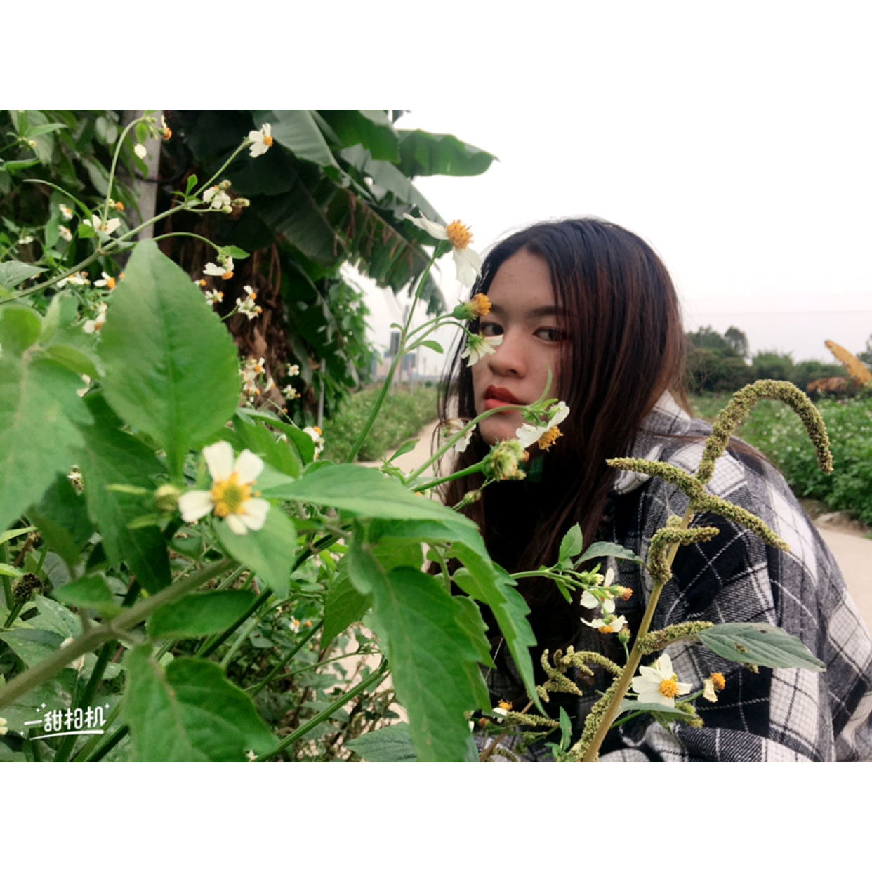 琪仔呀的照片