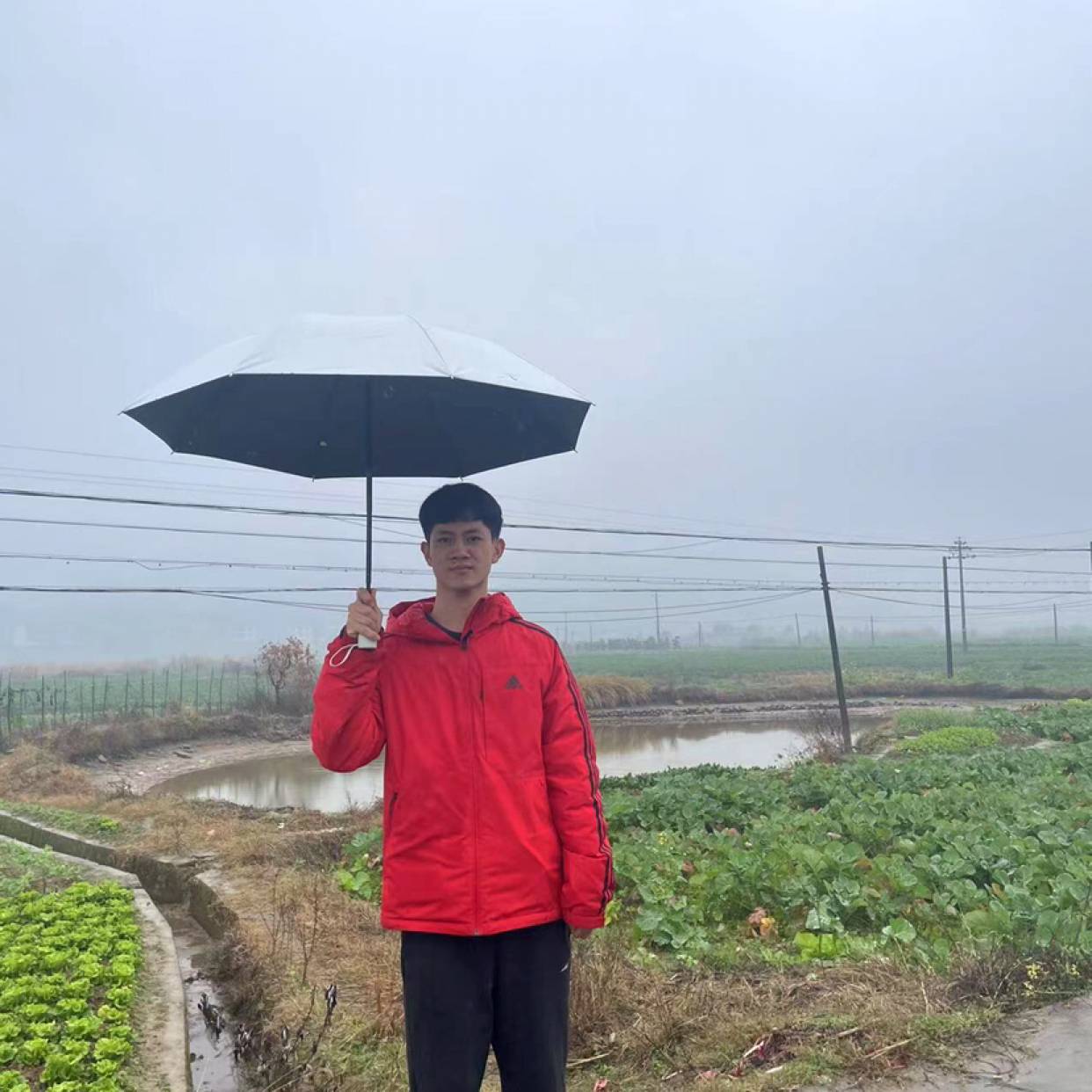 月亮的卡布奇诺的的照片