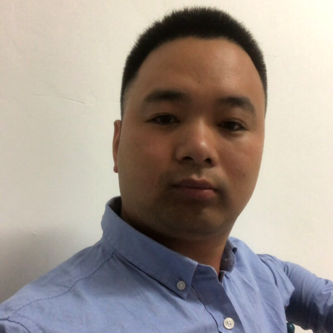 康乃馨苦恋不安的照片