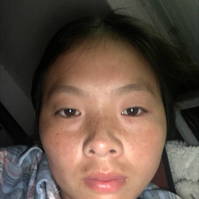 专注那老鼠的照片