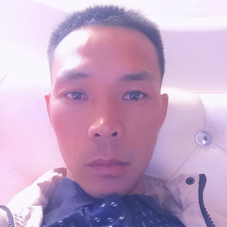 天下刘洋的照片