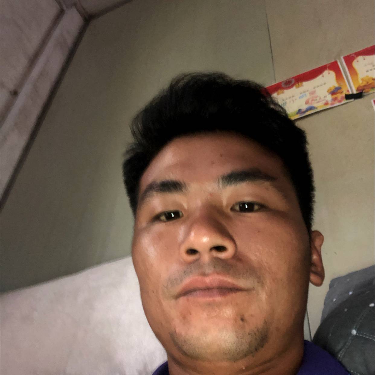 凤凰发光体的照片