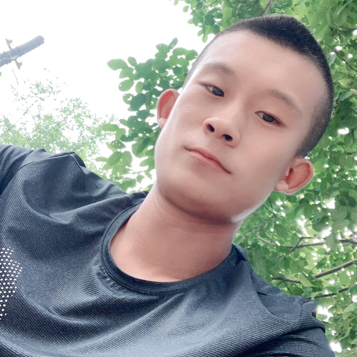 震动凝眸白猫的照片