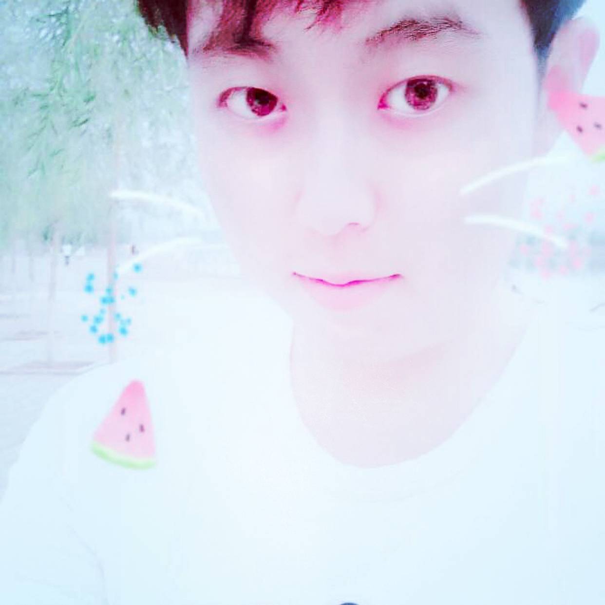 唯一的方宝马的照片