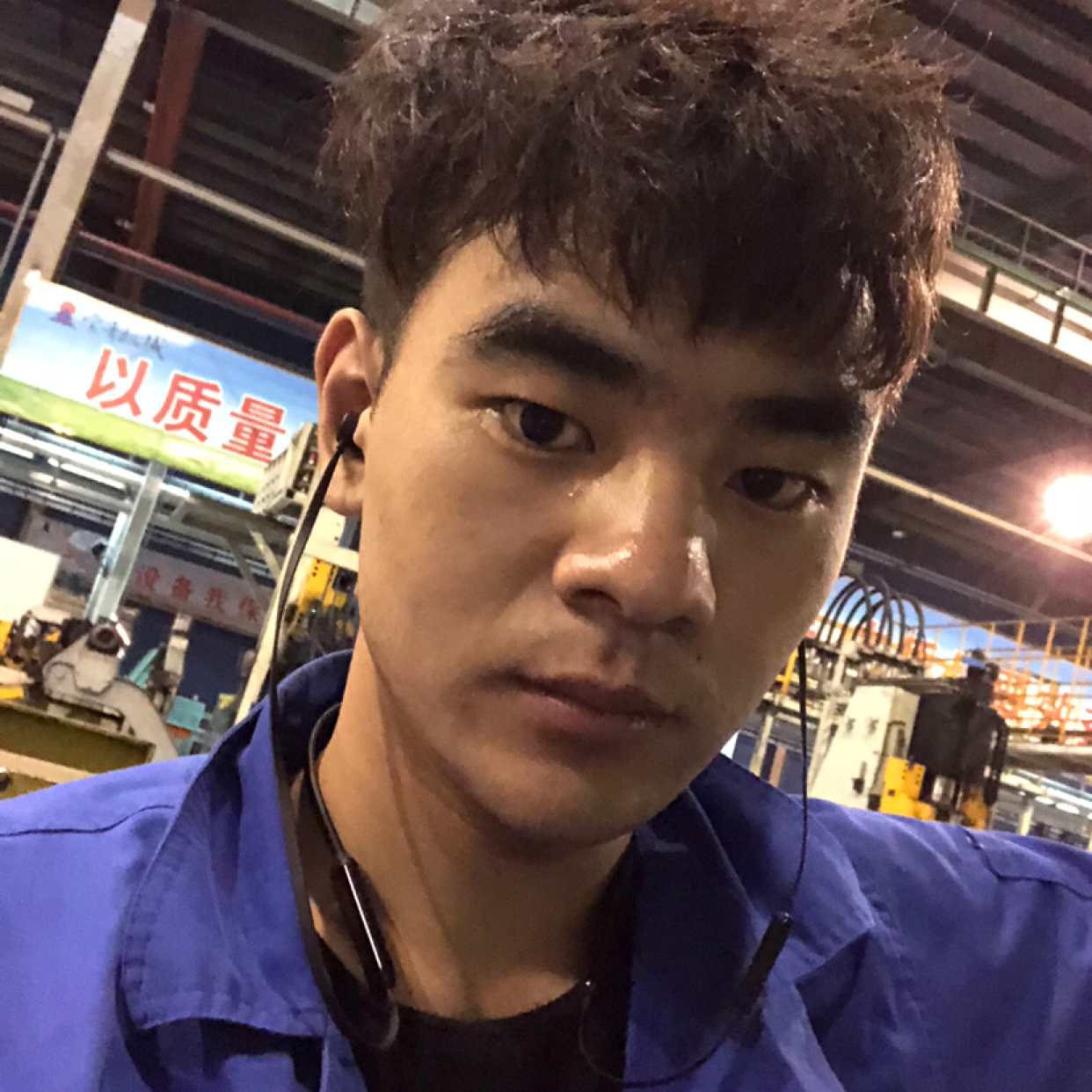 沉静迎晨阳的照片