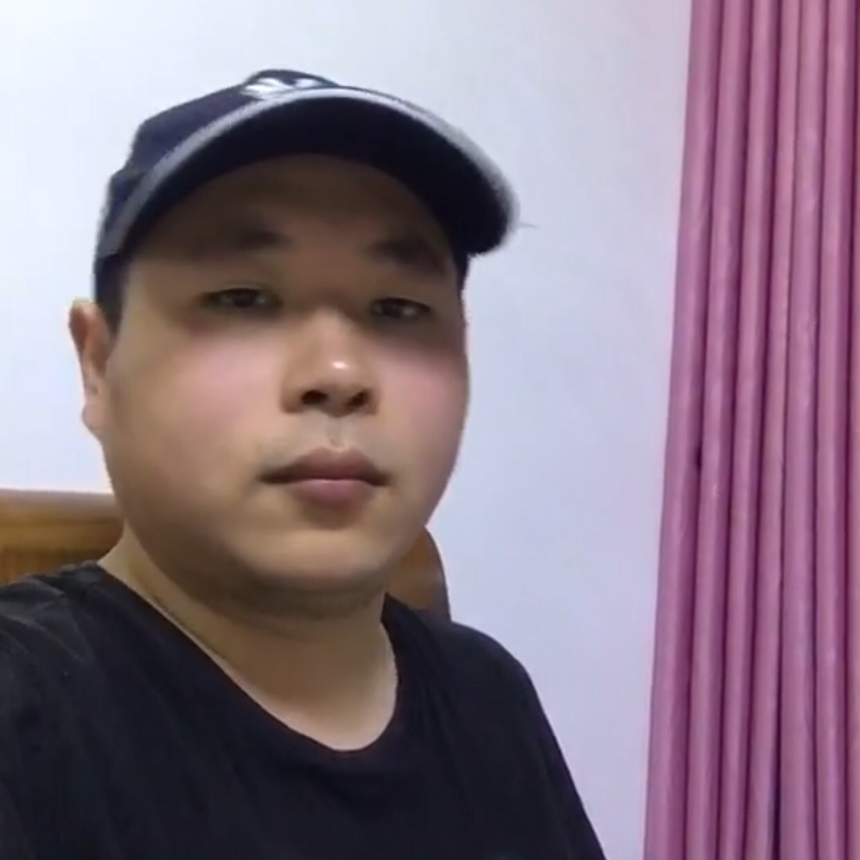 乐观的貓的照片