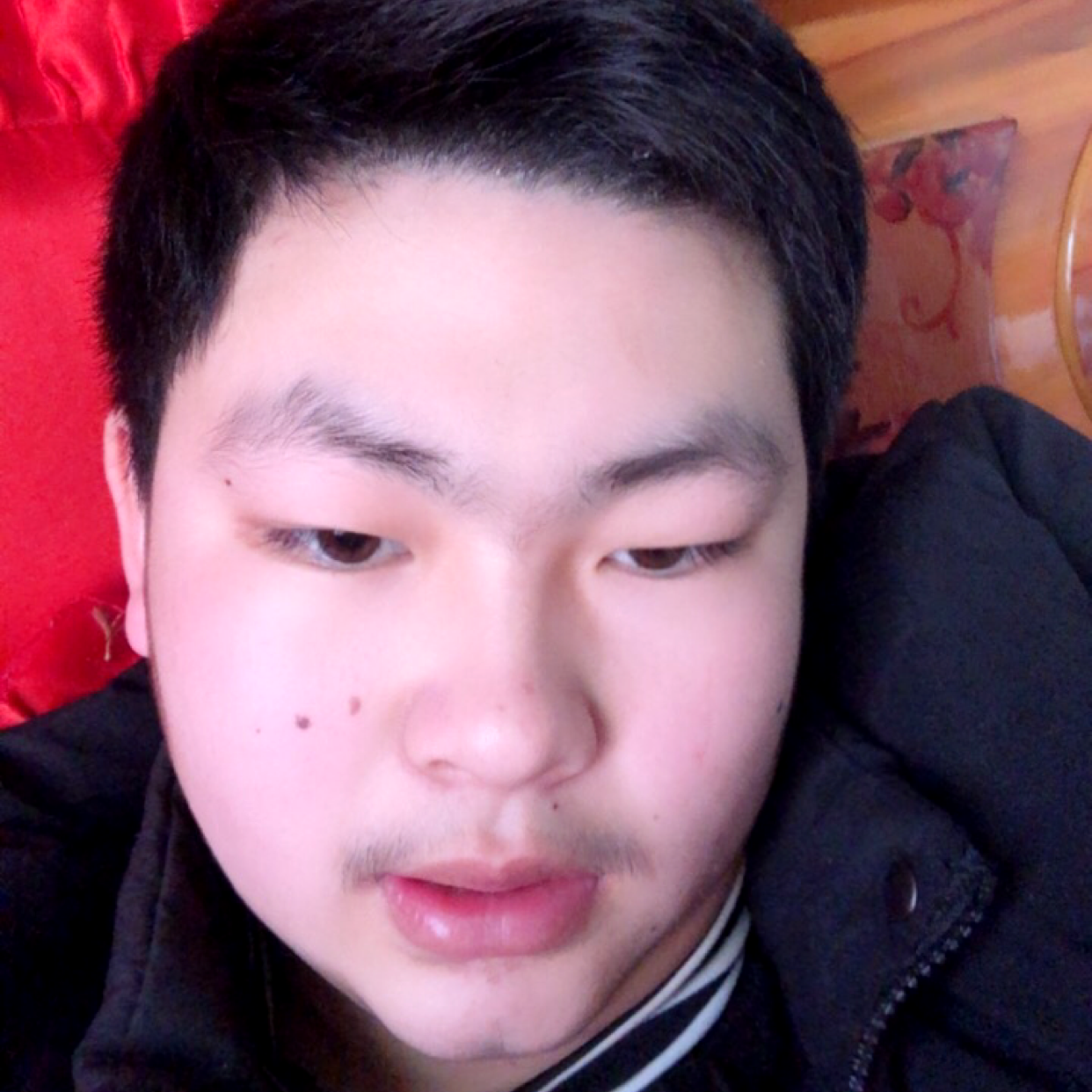 积极的大树的照片