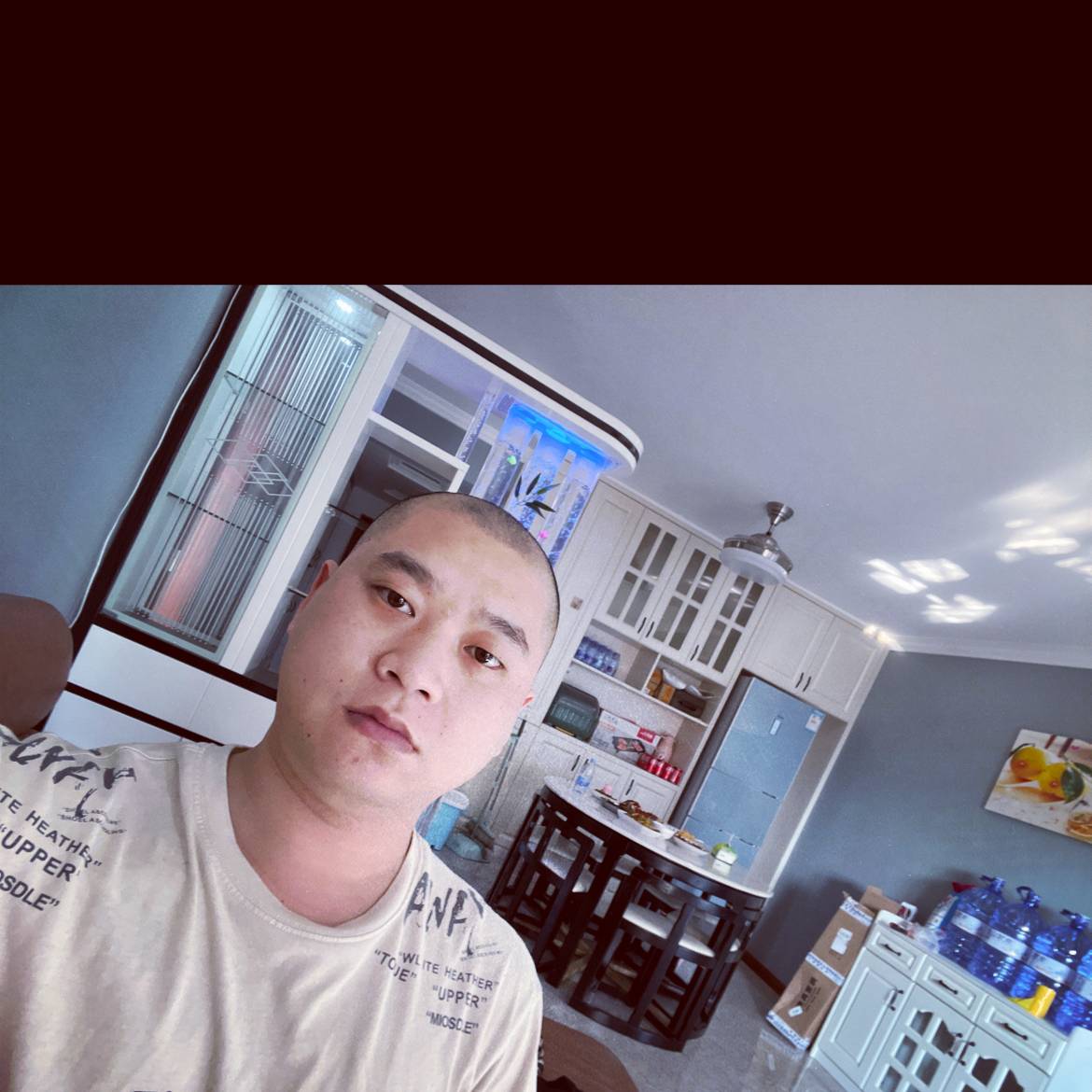 康乃馨停止搞怪的照片