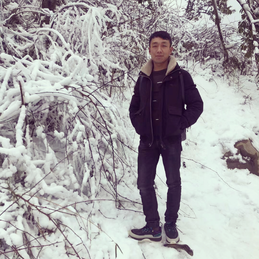 细心等待黑米的照片