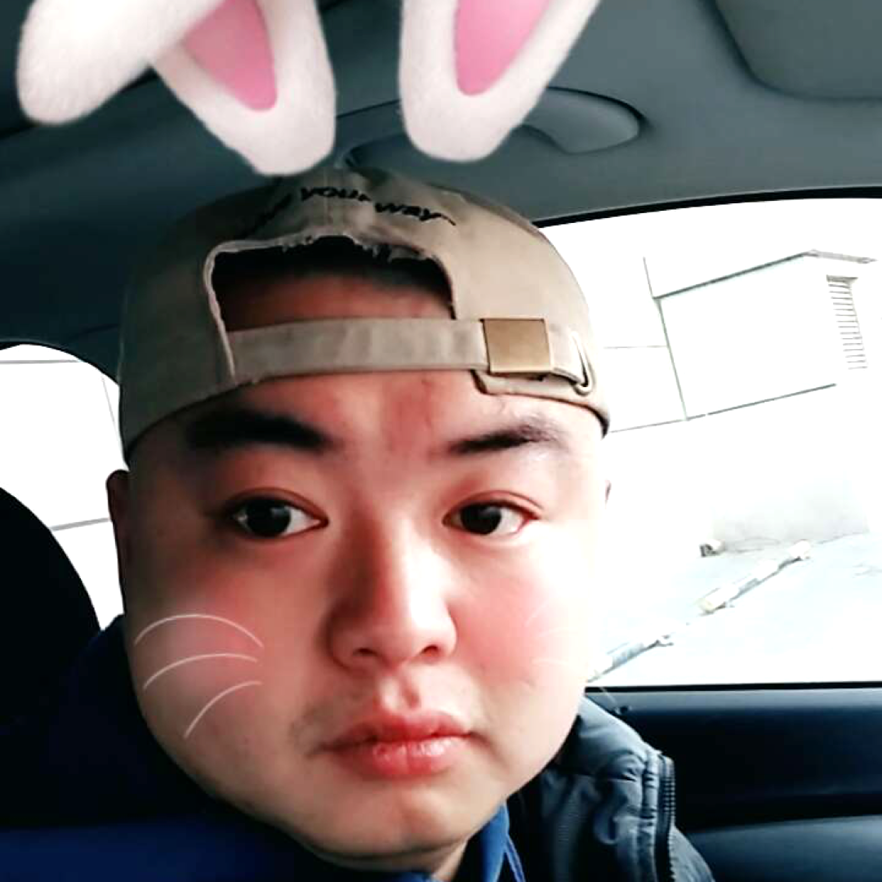 饼干干净的照片