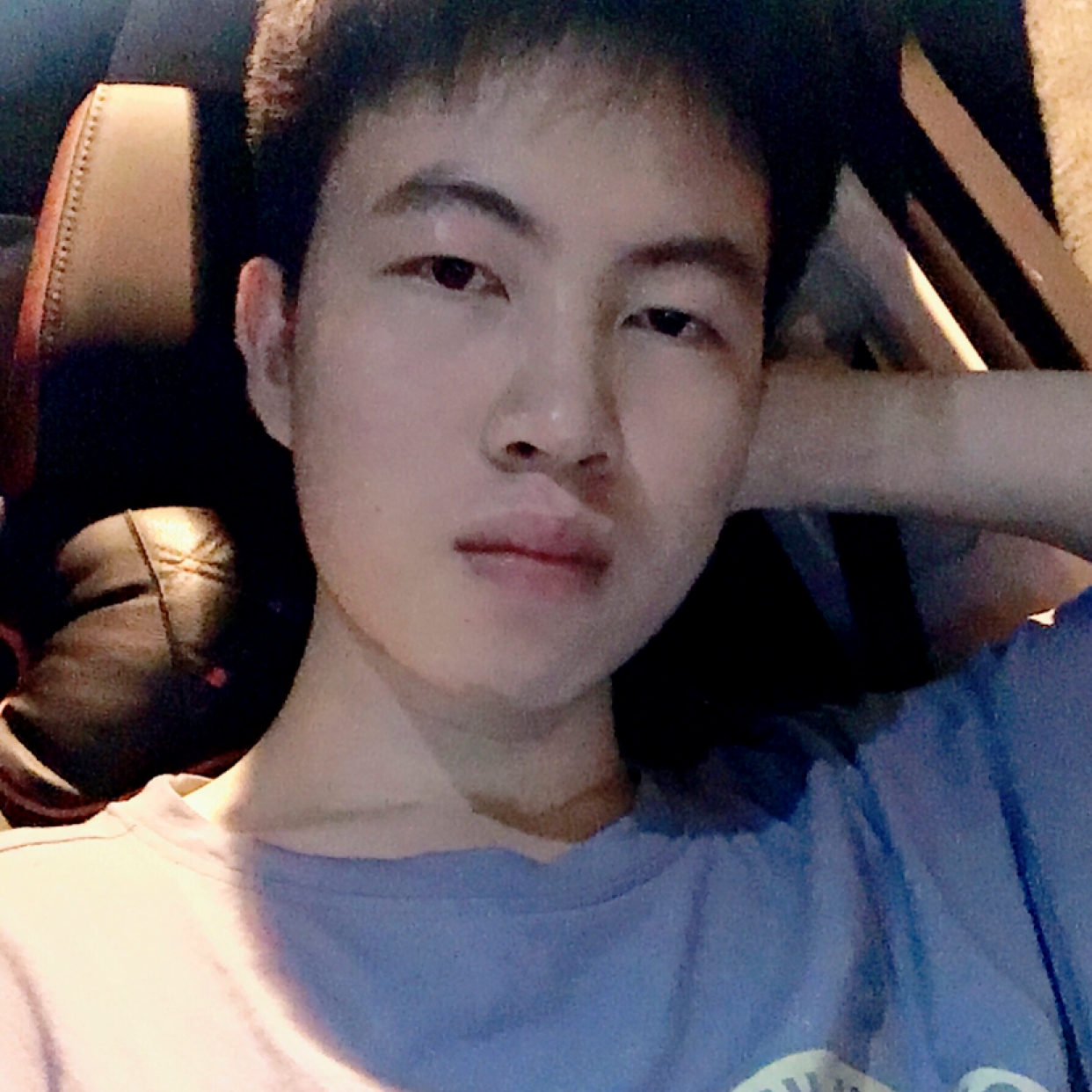 肥 猫的照片