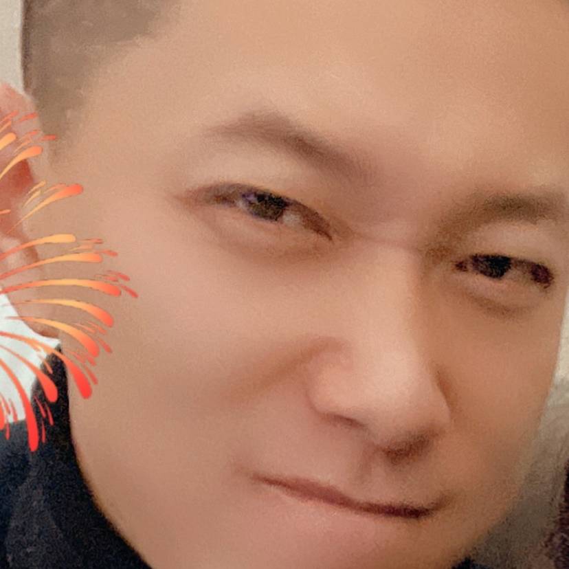 孤单哈士奇的照片