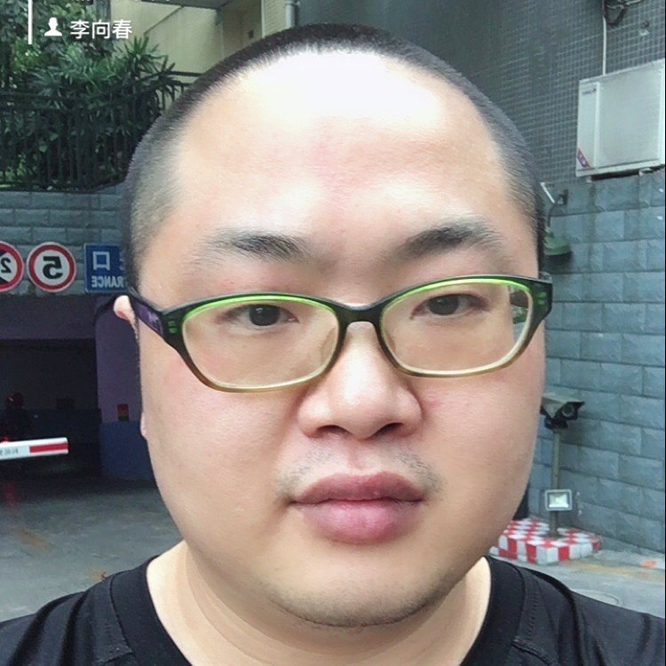 枫叶的照片