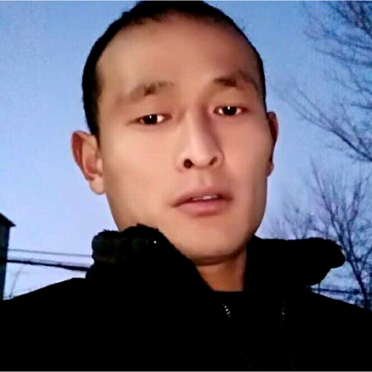 化羽挽手野性的照片