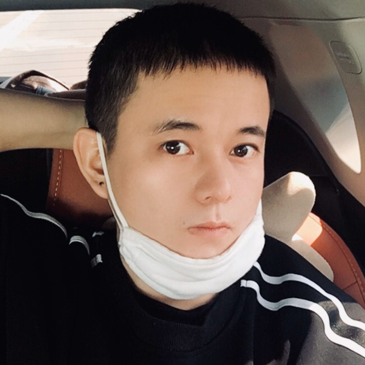 阿尔法。的照片