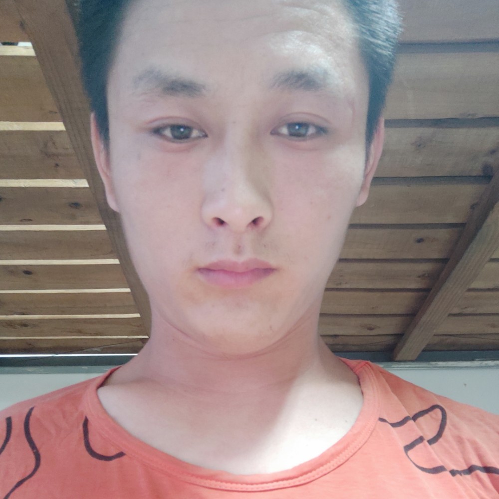 晨阳长情的照片