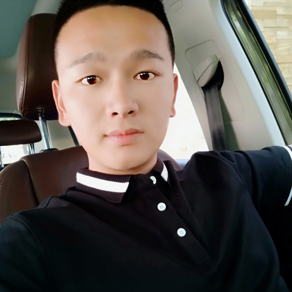 会飞的兔子。的照片