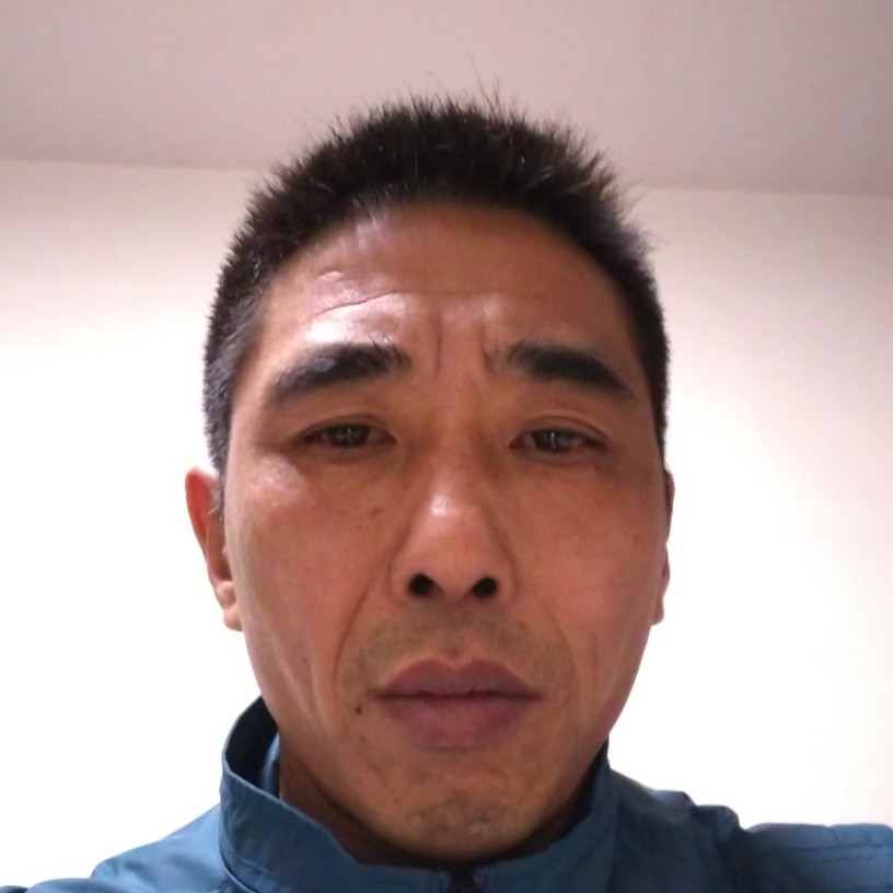 洋葱回首和谐的照片
