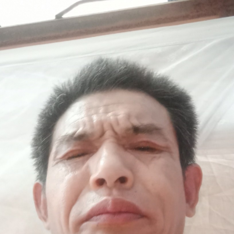 绿草蹙眉怡然的照片