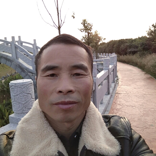 漂流它乡的照片