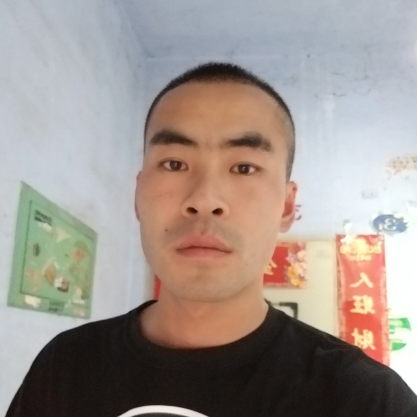 11115533的照片