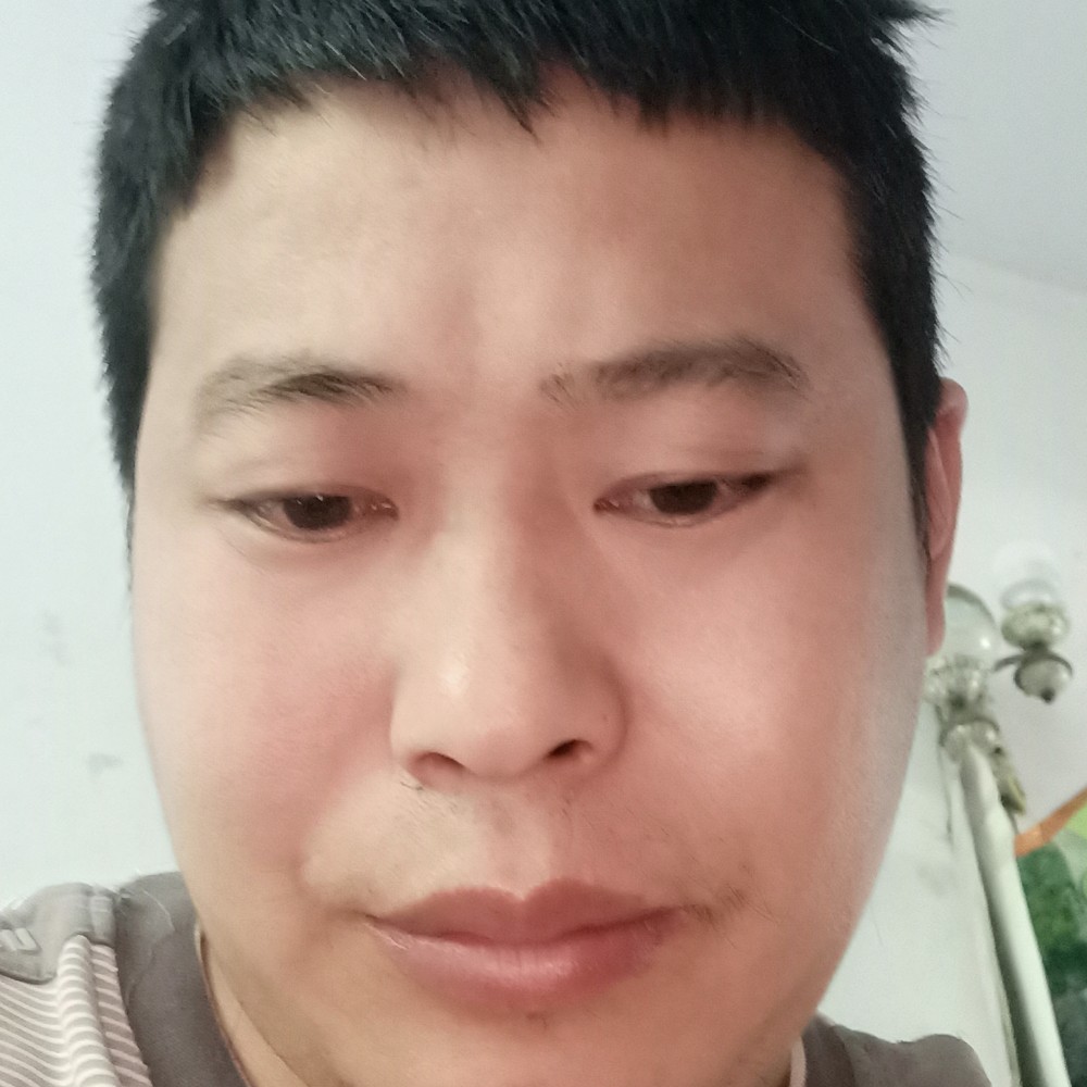 黑猫就不安的照片