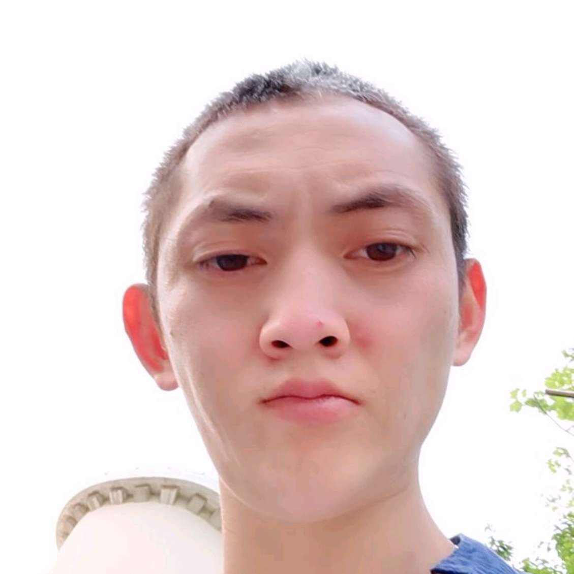 冬日尊敬的照片
