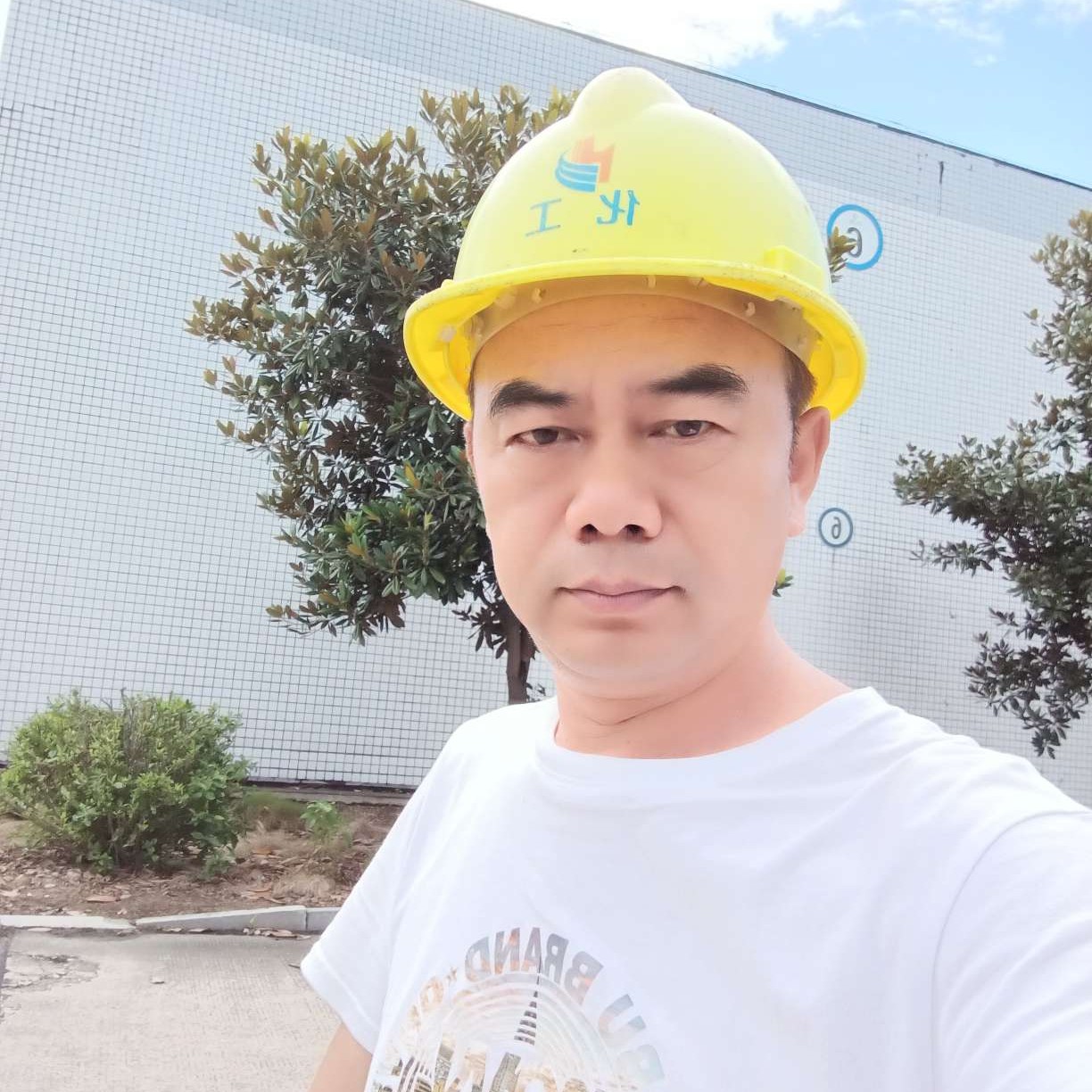 万千缘分的照片