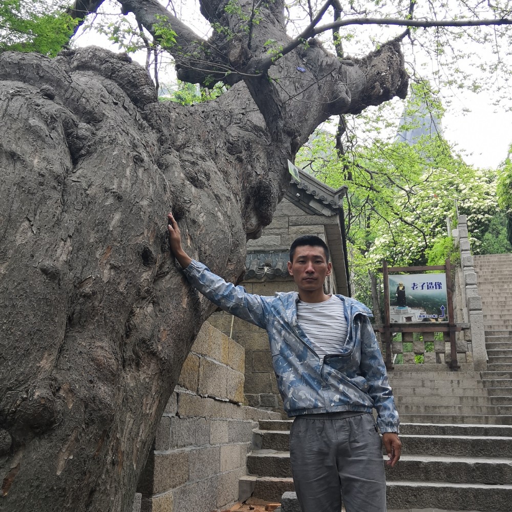 爱听歌打沧澜的照片