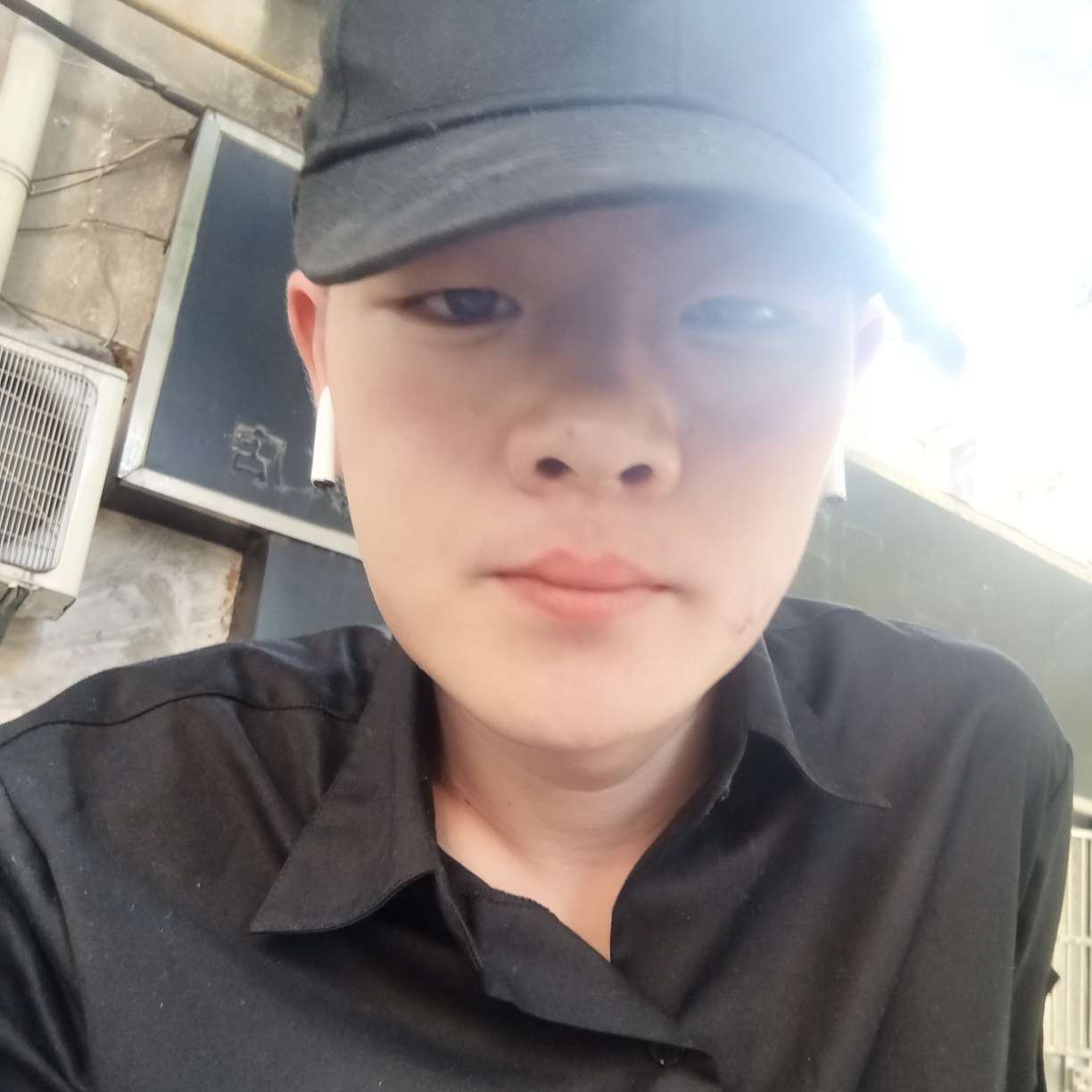 斑马凝眸含糊的照片