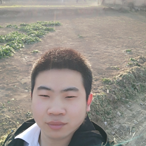 鹏鹏的心情的照片