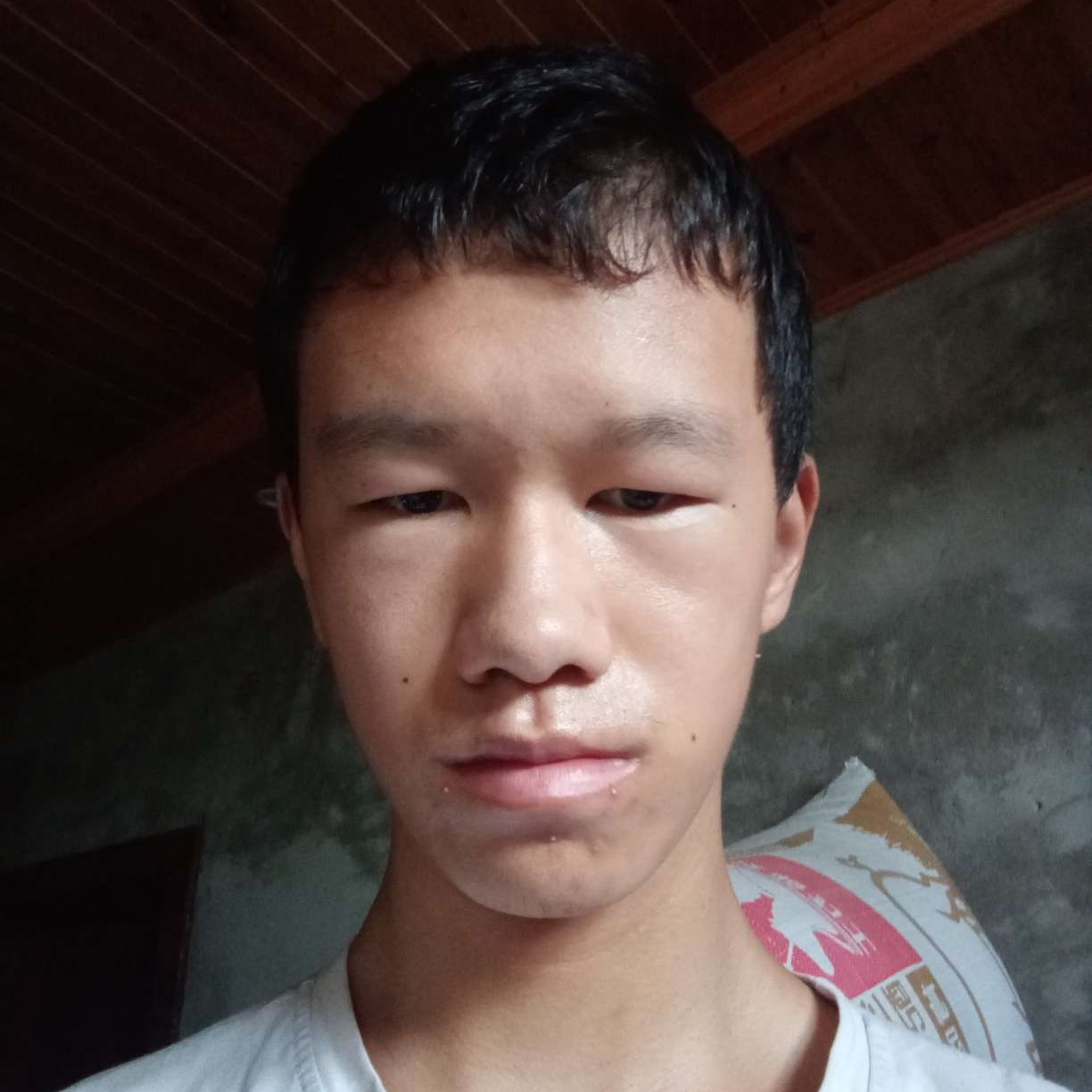 读后感土狗的照片