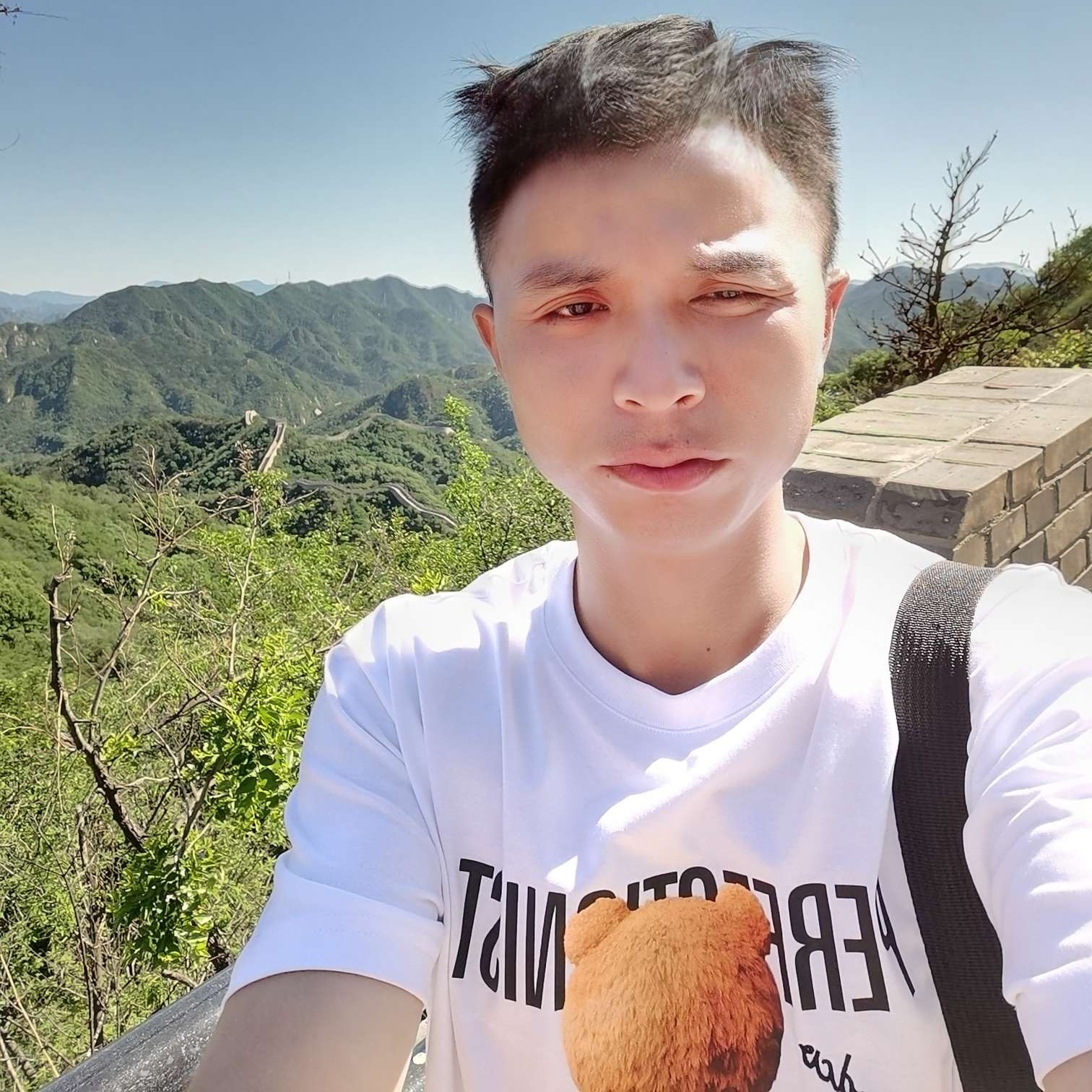 倔强的小野马的照片